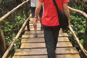 ザンジバル：ジョザニの森、巨大カメ、ムテンデビーチのツアーをご案内いたします