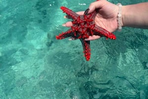 Sansibar: Jozani-Wald, Kuza-Höhle und Blaue Lagune + Seesterne