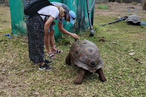 ЗАНЗИБАР: лес Джозани, парк рептилий и ресторан The Rock