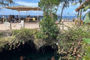 VANUIT MICHAMVI/PAJE: MNEMBA-DOLFIJNENTOUR & SNORKELING