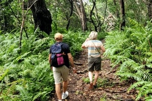 Zanzibar: Guidet tur i Jozani Monkey Forest