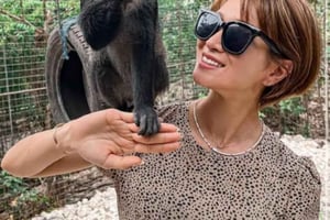 Zanzibar: Kilosa Zoo Conservation & Sunset Dhow Cruise