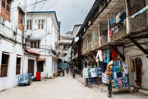 Zanzibar : visite d'un village local et visite guidée de Stone Town