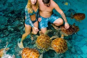 Zanzibar: Maasai-kultur og skildpadder i Salaam Cave Aquarium