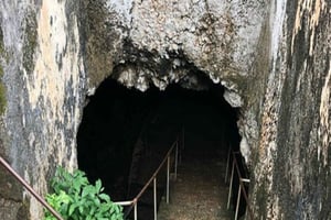 究極のザンジバル：マシンギニ・ジップラインとストーンタウン日帰りツアー