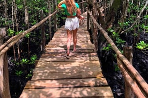 Zanzibar: tour ecologico in kayak nella foresta di mangrovie