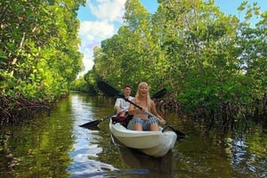 ZANZIBAR : aventure en kayak dans la mangrove et village authentique