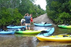 ZANZIBAR : Excursion en kayak dans la mangrove avec déjeuner
