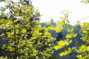 Zanzibar: Masingini Forest Zipline-eventyr med henting