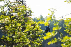 ザンジバル：マシンギニの森でジップラインアドベンチャー（送迎付き）