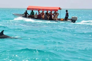 Zanzíbar: nada con delfines y tortugas marinas en Mnemba
