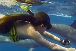 ザンジバル：ムネンバ島でイルカとウミガメと泳いでシュノーケリングを楽しみましょう