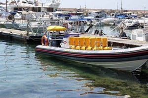 Zanzibar: Mnemba-øya og havskilpadde med valgfri lunsj