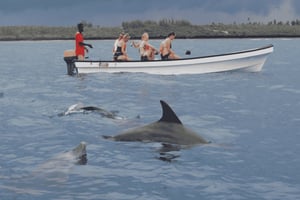 ザンジバル：ムネンバ島、ジョザニの森、ウミガメをご覧ください