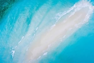 Zanzibar: Ilha Mnemba, Monkeys & Kuza Cave Private Tour