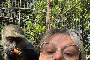 Sansibar: Mnemba-Atoll, Meeresschildkröten-Aquarium & Kilosa-Zoo