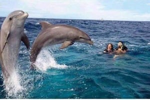 Zanzibar: Mnemba Island Snorkling & svømning med delfiner + frokost