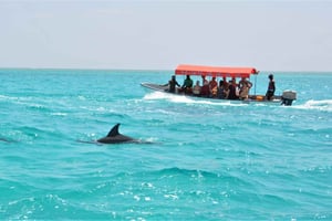 Zanzibar: Mnemba-eiland snorkelen & dolfijnen