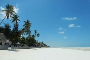 Zanzibar - Mnemba eiland tour en Baraka aquarium - schildpadden