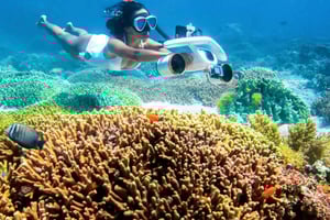 Zanzibar: tour in scooter marino all'isola di Mnemba o Pungume