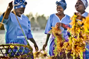 Zanzibar: Mtende Dorp en Zeewiercentrum Tour met Pickup