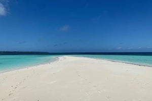 ZANZIBAR NAKUPENDA SANDBANK BEACH