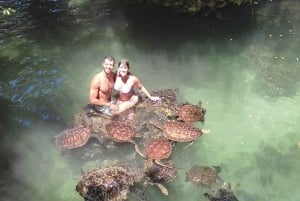 Zanzibar: tour naar de noordkust en schildpaddenreservaat