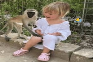 Sansibar: Nungwi Kilosa Zoo Conservation Tour