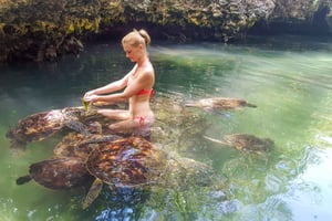 ザンジバル：ヌングウィ・タートル・アクアリウム ガイド付き半日ツアー