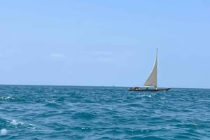 Zanzibar: Privat båttur till Nyundo Sandbank med guide