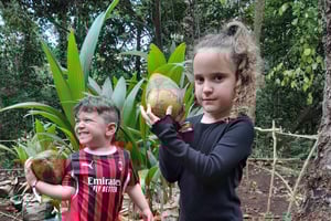 Zanzibar: tour di una fattoria biologica di spezie con degustazione di frutta