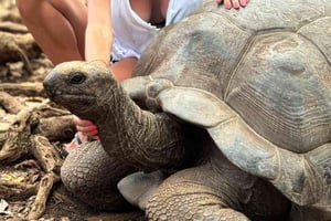 Zanzibar: Prison Island og et møde med en kæmpeskildpadde
