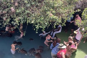 ZANZIBAR: Utforsk Prison Island og Salaam Cave med skilpadder