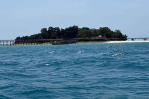 ZANZIBAR:Prison Island,Nakupenda Sandbank &Salam turtle swim