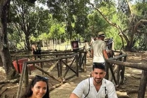 Zanzibar: Privat tur till Fängelseön med sköldpaddor,