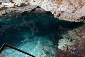 ZANZÍBAR Isla de la Prisión, cueva secreta y bosque de Jozani