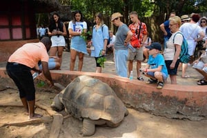 Zanzibar: tour privato di Prison Island, Stone Town e tartarughe