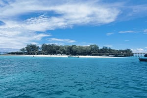 Zanzíbar: excursión a la isla prisión en lancha rápida con snorkel