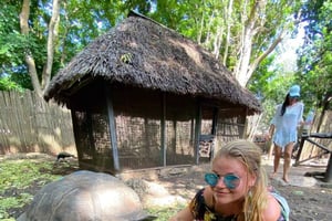 ザンジバル：ゾウガメとボート乗船付きプリズン島ツアー