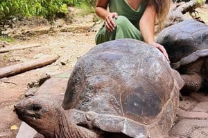 Sansibar: Tour zur Gefängnisinsel