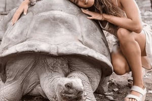 Занзибар: частный тур на остров Призон, черепаховая ферма и Каменный город.