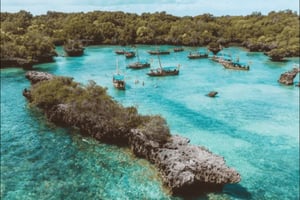 Zanzibar: gita di 1 giorno con Safari Blue, snorkeling e pranzo