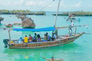 Zanzibar: Excursão Safari Blue Lagoon com mergulho com snorkel e almoço