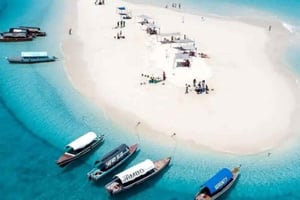 ZANZIBAR: SAFARI BLUE – PRIVAT TUR (KWALE-ØEN) OG FISK OG SKALDYR