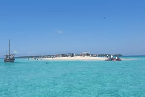 Zanzibar : visite privative de Safari Blue avec déjeuner de fruits de mer