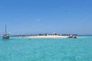 Zanzibar: tour privato Safari Blue con pranzo a base di pesce