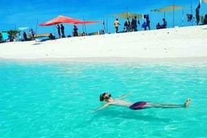 Zanzibar: Safari Blue Snorkling och Sandbank