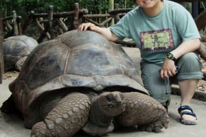 Zanzibar: Salam Cave, Prison Island og Mtende Beach-tur