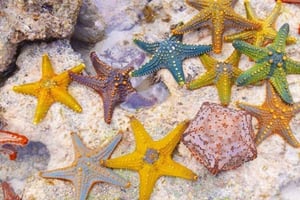 Zanzibar: Salam-grot met schildpadden en blauwe lagune met zeesterren