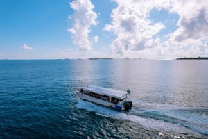 Zanzibar: rejs wzdłuż wybrzeża Kamiennego Miasta i nurkowanie